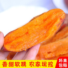 赣南红蜜薯新鲜现挖农家红薯地瓜烟薯25号六鳌蜜薯 10斤精品薯净重9斤多