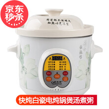泉尔思 全自动预约电炖锅4L快慢炖煮粥煲汤锅3L容量炖汤快炖锅陶瓷电炖盅电砂锅 5升快炖型约5-6人大面板