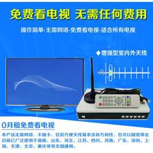 地面波数字电视天线室内家用信号接收器机顶盒DTMB农村 全套(带室内外两用型天线) 13m