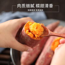 正常发货 山东板栗红薯 地瓜农家自种 新鲜蔬菜 【5斤装】普通-正常挑选