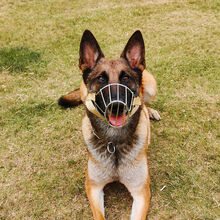 狗狗护嘴马犬德牧土狗口罩嘴套防咬人防乱吃嘴罩可喝水不锈钢口笼 不锈钢封口嘴套(防误食) L码(适合45-75斤)