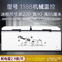 壹達 商用 卧式大容量大冰柜商用冰箱大容量家用冷藏冷冻柜单双温冷柜 机械无数显版-1188单l温铜管耐用款