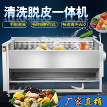 甄樽 土豆去皮机商用毛刷式全自动不锈钢小型家用电动果蔬根茎毛刷清洗脱皮机 CX100型【1335长700宽955高【1.5】