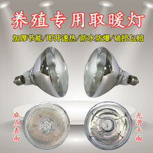 Hosono 仔猪用保温灯养殖取暖灯防水防爆节能小鸡畜牧烤灯加热灯泡 麻点250瓦