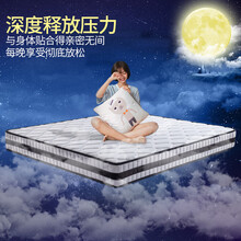 爱家生活 双人床垫席天然乳胶椰棕静音独立弹簧1.5 1.8米软硬两用 E款10cm【防螨面料】偏硬 1200mm*1900mm