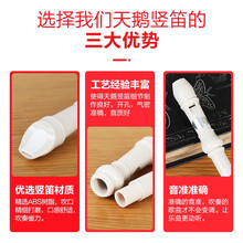 天鹅 竖笛 初学儿童学生竖笛 可拆卸德式八孔六孔高音6孔8孔可选竖笛 德式8孔木纹竖笛+清洁棒+说明书+原装皮套+入门书