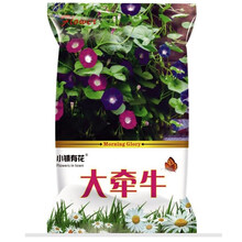 小镇有花  花种子 牵牛花种子 混色 爬藤绿植 阳台庭院种植喇叭花籽易种花种子 大牵牛种子 混色10克 厂商封装