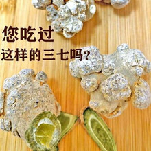 ℂ℘℘云南文山春三七特级非20头天然超细田七粉可视频直播磨粉 三七头(整个) 精选45头500克