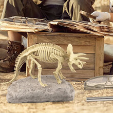 爸爸妈妈儿童DIY考古玩具恐龙化石挖掘玩具探索模型骨架男孩女孩早教益智 7720 三角龙儿童玩具