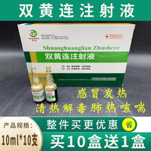 双黄连注射液中药兽药兽用猪牛羊猫狗感冒发烧退热清肺止咳抗病毒  10ml*10支/盒 10ml*10支/盒（两款随机发）