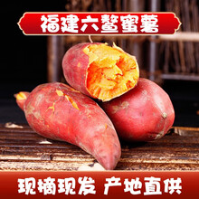 福建六鳌红薯 山地地瓜 糖心 新鲜产地直供 5斤中果(15-25个净重4.5斤左右)
