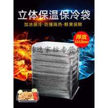 保温袋铝箔立体一次性外卖打包冷冻食品水果海鲜大闸蟹隔热袋加厚创意 十个价6号泡(21*10*24)