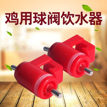 肉鸡蛋鸡专用饮水嘴 卡式饮水器乳头饮水器 钢球饮水器 360度出水 细钉50个