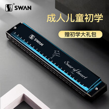 天鹅口琴儿童学生初学者高级成人男女24孔专业复音c调演奏比赛乐器 宝石蓝【教学视频+初学礼包】