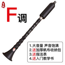 巴乌乐器竖吹成人专业演奏小学生初学入门大音量G/F调 单管乐器 F调+包+指法表+入门教学书