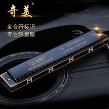 奇美口琴24孔复音A/B/C/D/E/F/G调成人专业演奏级高级口琴套装 限量版-黑色复音#F调+【全套礼包】