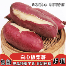 龙九红薯黄心蜜薯农家新鲜地瓜现挖现发 板栗红薯10斤