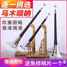 唢呐乐器唢呐乐器初学者/成人全套/降//降调 C调 套餐三