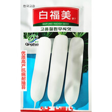青硕白福美萝卜种子高产抗病耐抽苔农家春秋播种精选萝卜种 青硕白福美原装10克x2袋