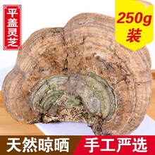 滋真堂 灵芝平盖灵芝树舌赤灵芝紫灵芝茶林芝 平盖灵芝250g