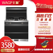 王派（WAGP）集成灶蒸烤一体灶自动清洗家用环保灶侧吸下排式抽油烟机 800mm消毒柜款 液化气