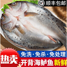 悠轶海鲈鱼鲜活速冻400g-450g/条三去开背 四鳃鲈花鼓百花鱼七星鲈 400g左右/条*10条【开背免处理】