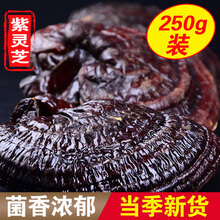 吉雪 灵芝长白山灵芝深山整枝紫灵芝东北特产林下种植紫芝泡酒料林芝 紫灵芝250g