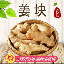 翠叶绿果 山东大姜块生姜老姜黄姜月子姜 新鲜蔬菜 3斤