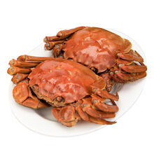 【全母特大蟹满黄】5.0-2.0两苏州大闸蟹鲜活螃蟹活体超大蟹礼盒2 (全母4.0-3.5两)6只