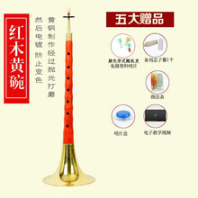 管艺 红木乌木唢呐乐器全套ABCDF调唢呐民族乐器成人初学演奏锁啦喇叭 红木小F调