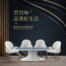 奢品餐桌后现代简约家用饭桌餐厅餐桌椅组合意式轻奢风CK101 头层牛皮餐椅