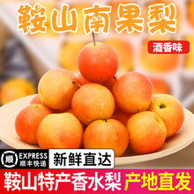 碧莲尼 顺丰速运 辽宁鞍山南果梨新鲜当季孕妇水果香水南国梨子酒香梨东北特产 5斤 中大果5斤40果