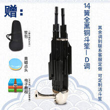 天津王氏笙乐器王氏民乐14簧方笙17簧21簧圆笙扩音笙初学专业演奏 14簧全黑铜斗笙-D调