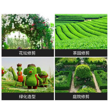 FENG SHENG 豪华减震新款绿篱机手持汽油绿篱机绿化带公园修剪园林剪枝割草机二冲动力德国技术 绿色