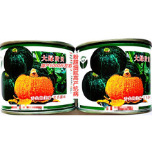 山西太谷艺园大绿贝贝南瓜种子面甜细腻早熟高产农家春秋播种精选 太谷艺园大绿贝贝原装100粒