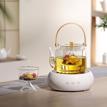 诺洁仕（LOCUS）电陶炉茶炉家用功夫热泡蒸煮烧水炉迷你不挑玻璃陶瓷铁壶光波电磁炉机器 简洁白色陶瓷茶炉+1000ml玻璃壶L款
