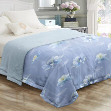 埃迪蒙托夏季空调被春秋被薄被双人单人可水洗天丝夏凉被空调被子 欧式 200X230cm重总量约1.8KG