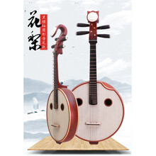 京炫（JINGXUAN)中阮乐器花梨木酸枝中阮普及初学 考级 演出中阮民族乐器 轴圆音孔中阮
