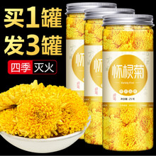 怀棂菊菊花茶夏季秋季官方安徽省黄山特级野生灵怀菊茶灵