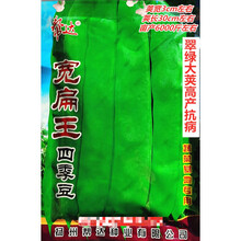 帮达宽扁王四季豆种子翠绿大荚高产抗病农家大田四季播种精选种 帮达宽扁王原装200克x5袋