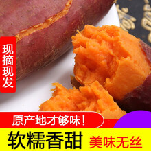红薯湛江地瓜新鲜农家西瓜红蜜薯糖心沙地红心红薯 9斤 小果