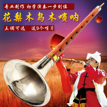 京炫（JINGXUAN)乌木唢呐D调初学者成人儿童乐器全套C调 大小F调 降B唢呐 带哨片 花梨木小F调 (银碗)+唢呐包+
