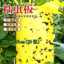 暖居客 粘虫板黄板诱虫板灭小飞虫双面强力粘虫板黄色大号加厚农用盆栽粘虫纸杀虫剂花卉绿植驱虫灭果蝇粘板 黄色粘虫板20张