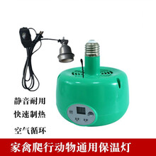 新款养殖暖风灯宠物爬虫恒温育雏保温箱加热器仔猪雏鸡取暖保温灯 调速线灯口