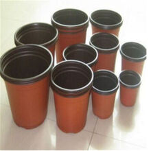 塑料花盆分植移苗育苗盆菜盆双色盆多规格园艺用品 22*16*20款1000个