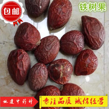 ℘‼️〶铁树果 中药材 铁树籽 凤凰蛋 苏铁果铁树子500克 另有铁树花