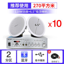先科S1-5蓝牙吸顶喇叭套装天花板音响吊顶音箱家用3D环绕背景音乐功放嵌入式商场店铺餐厅装修有线广播 10个6.5寸吸顶喇叭+两分区蓝牙功放