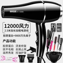 德国进口吹风机家用速干理发店专用大功率3000W负离子护发宿舍静 贵族黑进口12000大风送全部 发廊家用造型版