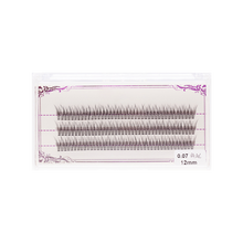 虞书欣同款梦鹿假睫毛女超自然分段朵毛单簇鱼尾燕尾嫁接C翘0.07TX 拍下留言或联系客服备注长度（无备注，默认发10mm