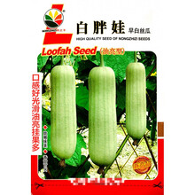农之子白胖娃早白丝瓜种子口感好光滑油亮挂果多农家春秋播种精选 白胖娃早白丝瓜原装10克